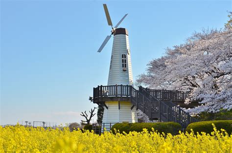 【埼玉県】スポット